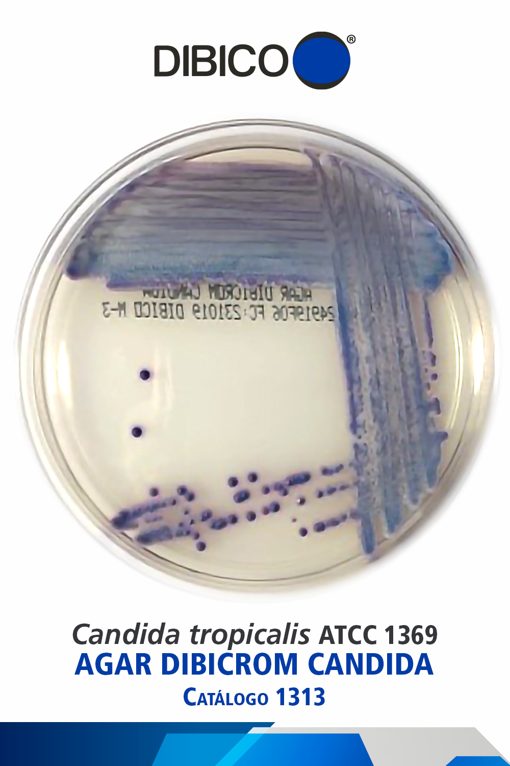 Candida tropicalis ATCC 1369
