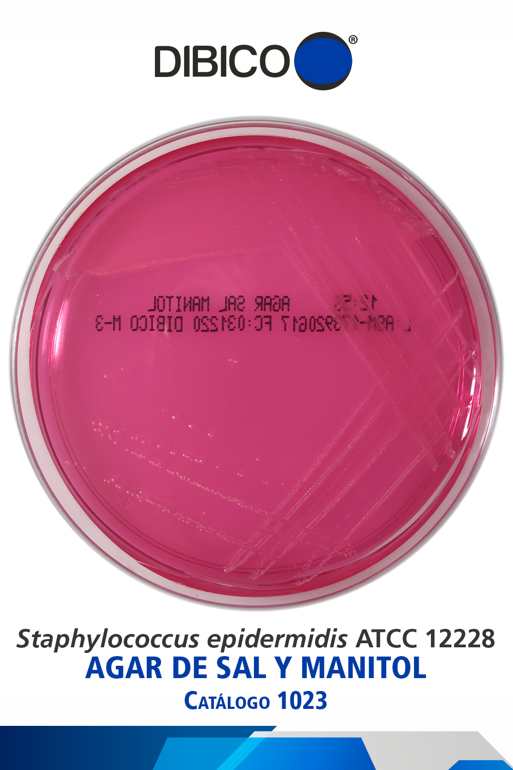 Staphylococcus epidermidis ATCC 12228